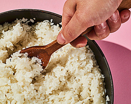 米饭,向上
