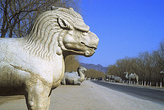 中国,通道,神道,巨大,动物,雕刻,石头