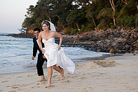 新郎,新娘,海滩,努沙,澳大利亚