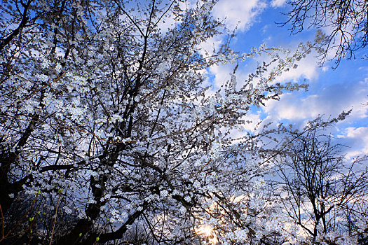 munich慕尼黑olympia,park