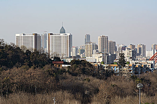 城市