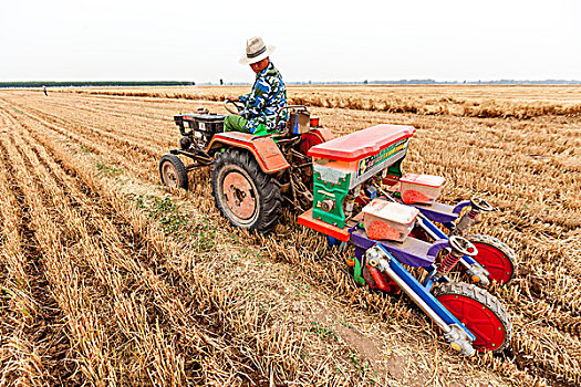 河南滑县,农民用播种机播种秋粮玉米