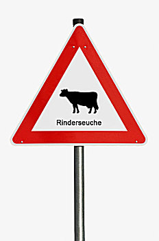 警告标识,德国,疯狂,母牛,疾病
