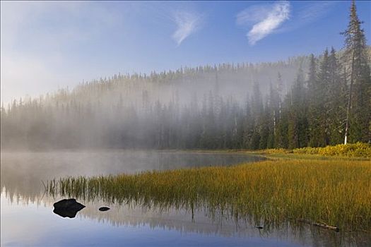 反射,树,湖,威勒米特国家公园,俄勒冈,美国