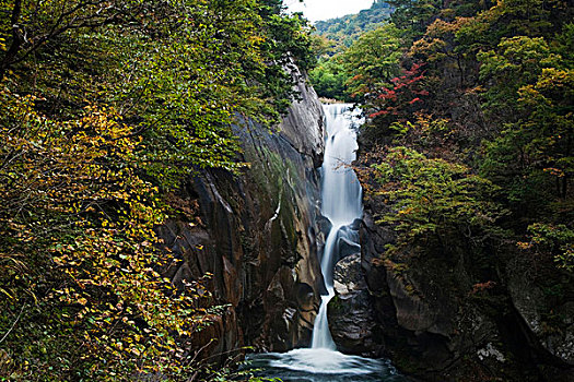 瀑布,山梨县,日本,亚洲