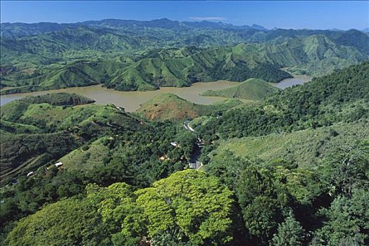 大西洋,树林,碎片,风景,里约热内卢,巴西