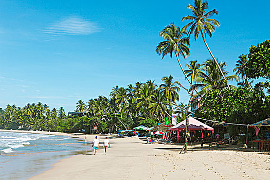 海滩,棕榈树,餐馆,南方,省,印度洋,斯里兰卡,亚洲