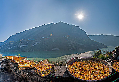 湖北夷陵长江三峡灯影峡里的,三峡人家,巴王山寨酒作坊