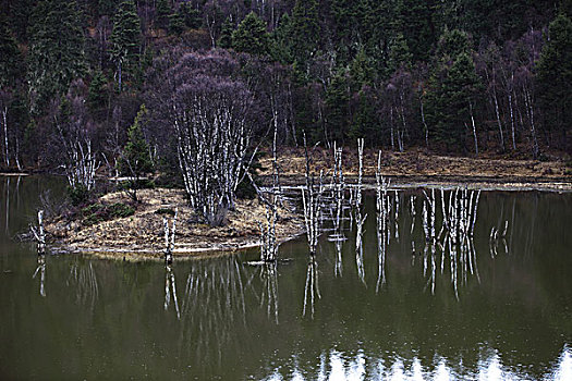 云南香格里拉,湖泊