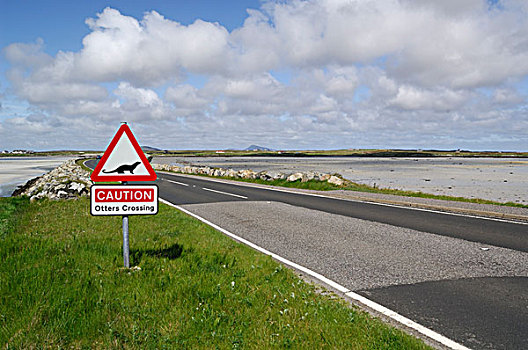 欧洲,水獭,警告,标识,边缘,沿岸,道路,外赫布里底群岛,苏格兰,英国