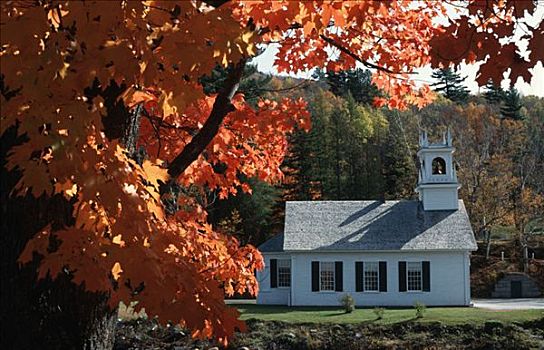 教堂,秋天,树,荒凉,新罕布什尔,美国