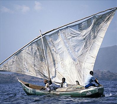 渔船,帆,靠近,岛屿,维多利亚湖