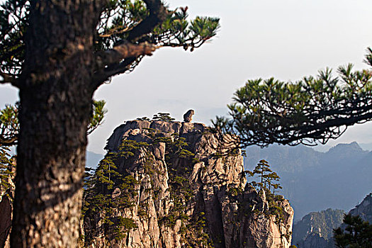 黄山,怪石,自然景观