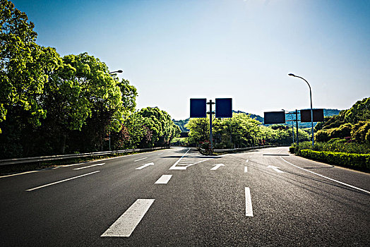 道路,俄罗斯,树林