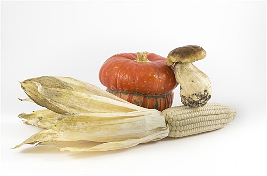 南瓜,蘑菇,玉米,白色背景,背景