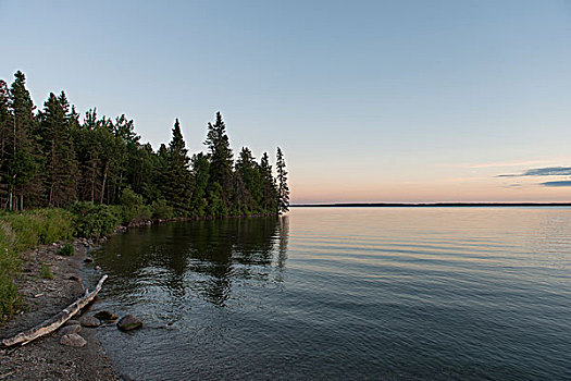 树,湖岸,湖,营地,赖丁山国家公园,曼尼托巴,加拿大