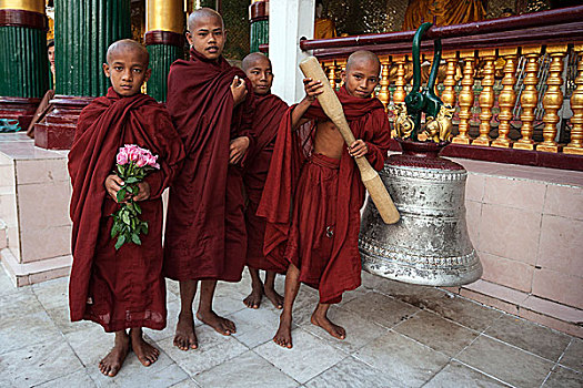 僧侣,新信徒,大金塔,仰光,缅甸,亚洲