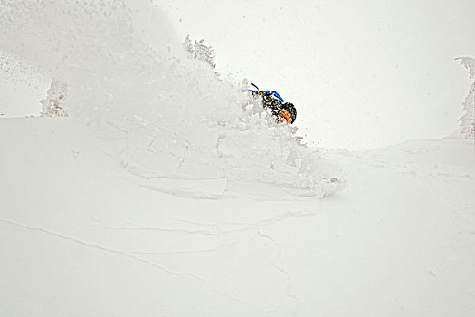 滑雪板