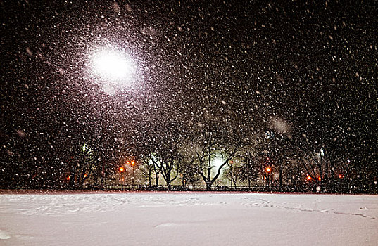 公园,路灯,雪中,暴风雪