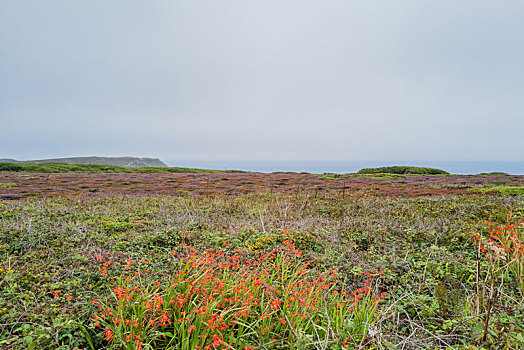 海岸