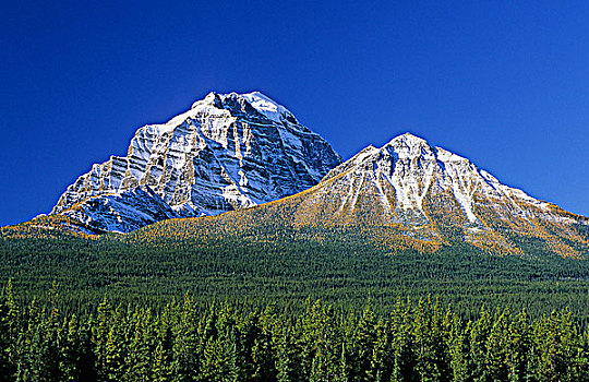 圣殿山,班芙国家公园,艾伯塔省,加拿大