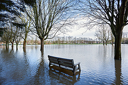 木制长椅,洪水,体育场地