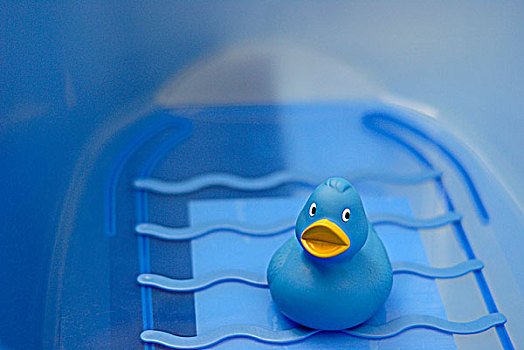 蓝色,橡皮鸭,浴缸