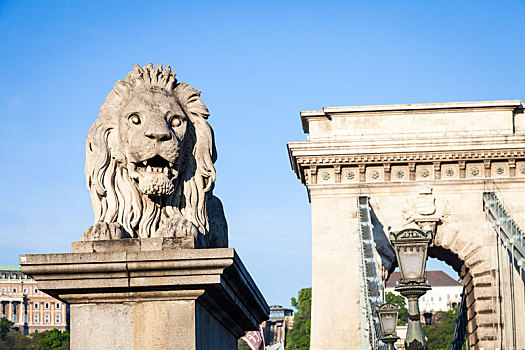 布达佩斯,匈牙利,五月,狮子,雕塑,开端,链索桥