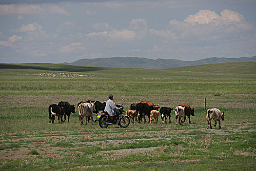 中国内蒙古,锡林郭勒盟