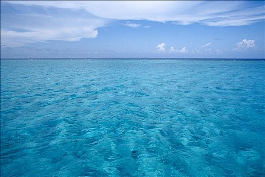 白沙,浅水,泻湖,大开曼岛,加勒比海