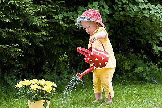 幼儿,浇水,雏菊,户外