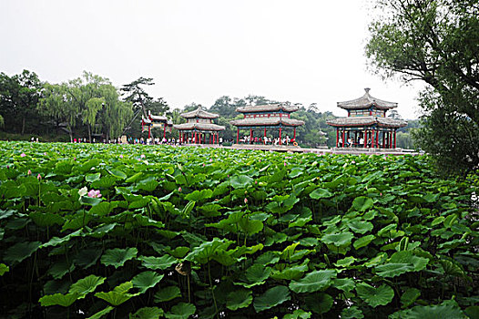 承德,离宫,避暑山庄,建筑,皇家,园林,古迹,精致,文物,遗产