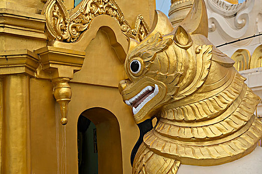 缅甸,仰光,大金塔,佛教,神祠,华丽,金色,狮子,特写,大幅,尺寸