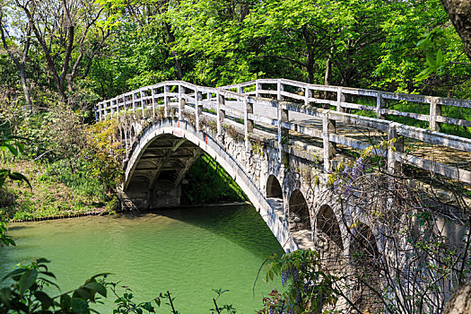 中国江苏省扬州瘦西湖景区拱桥