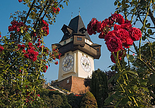 钟楼,食草动物,城堡山,山,世界遗产,格拉茨,施蒂里亚,奥地利,欧洲