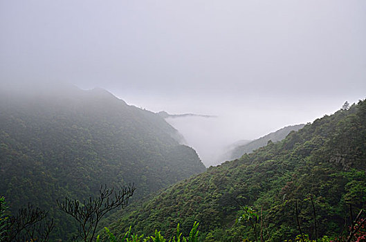 大明山