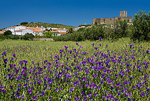 葡萄牙,城镇,中世纪,城堡,靠近,风景,上方,橄榄林