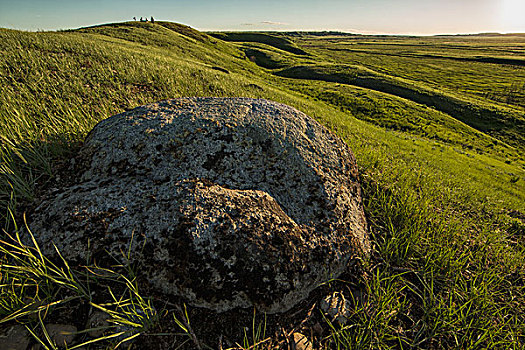 大,石头,左边,后面,草原国家公园,萨斯喀彻温,加拿大