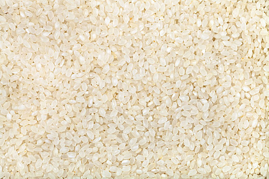 许多,白色,短小,谷物,米饭