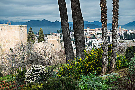 风景,城市,花园,阿尔罕布拉,格拉纳达,西班牙