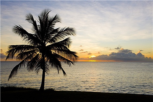 日落,上方,加勒比海,巴巴多斯