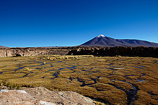 国家公园,玻利维亚,南美,北美