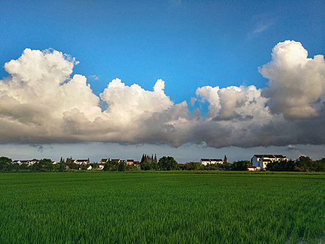 田园,田园风光,乡野