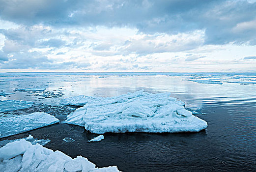 冬天,海边风景,漂浮,大,冰,碎片,安静,海水,海湾,芬兰,俄罗斯,蓝色调,照片