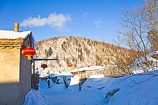 雪乡,双峰林场,村庄,风景,白天,黑龙江,牡丹江