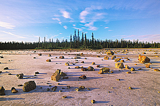 盐滩,伍德布法罗国家公园,艾伯塔省,加拿大