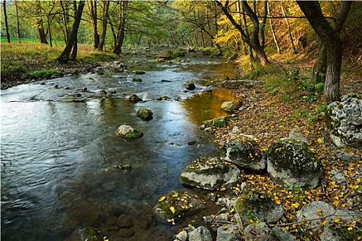河,秋日树林