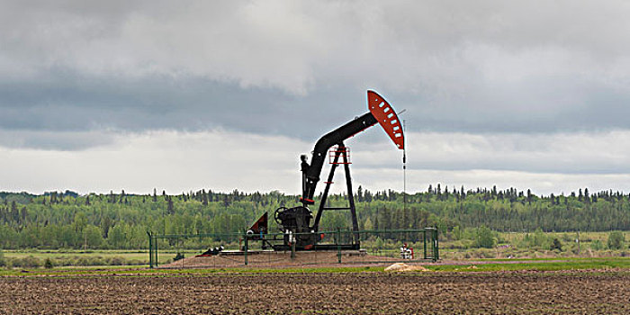 抽油机,油井,艾伯塔省,加拿大