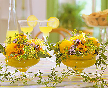 玻璃碗,八仙花属,马鞭草属植物,柠檬