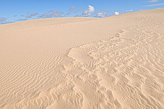 沙丘,国家公园,新南威尔士,澳大利亚